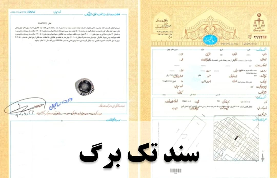 سند تک برگ
