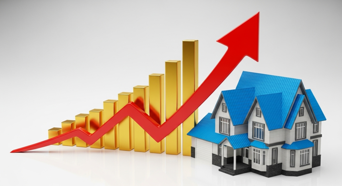 شناسایی خانههای خالی